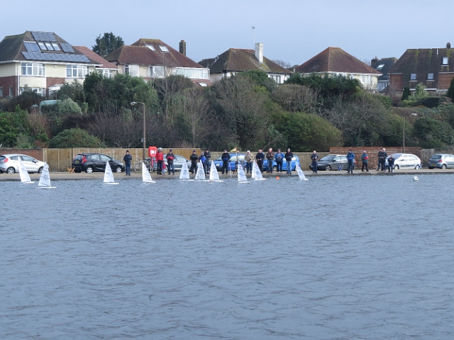 23 01 16_0686.JPG - POOLE PARK, DORSET - 23.1.16